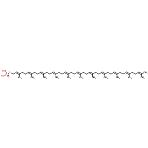 25126-51-6  (2E,6E,10E,14E,18E,22E,26E,30E,34E,38E)-3,7,11,15,19,23,27,31,35,39,43-undecamethyltetratetraconta-2,6,10,14,18,22,26,30,34,38,42-undecaen-1-yl dihydrogen phosphate