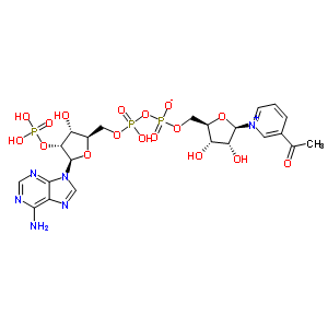 341-67-3  [(2R,3S,4R,5R)-5-(3-acetilpiridin-1-io-1-il)-3,4-diidrossi-tetraidrofuran-2-il]metile [[(2R,3R,4R,5R)-5-(6-amminopurina-9-il)-3-idrossi-4-fosfonoossi-tetraidrofurano-2-il]metossi-idrossi-fosforil] fosfato