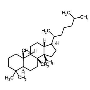 545-22-2  (14beta)-dammarane