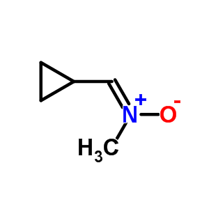 65194-05-0  N-[(1E)-cyclopropylmethylidene]-N-methylamine oxide
