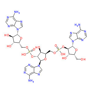 81371-57-5  [(2R,3R,4S,5R)-2-(6-aminopurin-9-yl)-5-[[[(2R,3R,4S,5R)-2-(6-aminopurin-9-yl)-4-hydroxy-5-(hydroxymethyl)tetrahydrofuran-3-yl]oxy-hydroxy-phosphoryl]oxymethyl]-4-hydroxy-tetrahydrofuran-3-yl] [(2R,3R,4R,5R)-5-(6-aminopurin-9-yl)-3,4-dihydroxy-tetrahydrofu