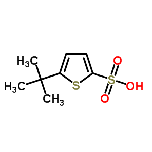 7148-99-4  5-tert-butylthiophene-2-sulfonic acid