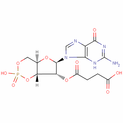 2'-o-Succinyl cyclic gmp