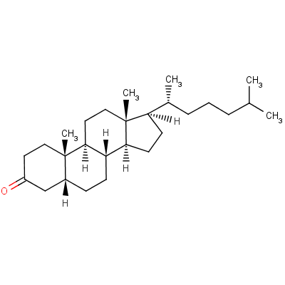 601-53-6  coprostan-3-one crystalline