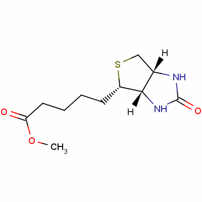 608-16-2  biotin methyl ester