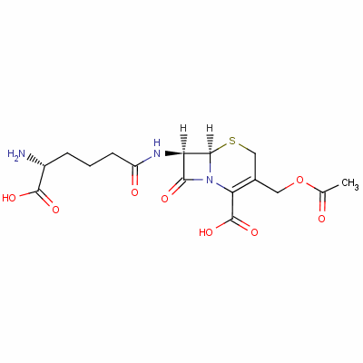 Cephalosporin c