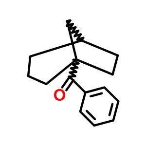 58541-30-3  bicyclo[3.2.1]oct-1-yl(phenyl)methanone