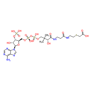 79955-48-9  (3R,5S,9R)-1-[(2R,3S,4R,5R)-5-(6-amino-9H-purin-9-yl)-4-hydroxy-3-(phosphonooxy)tetrahydrofuran-2-yl]-3,5,9-trihydroxy-8,8-dimethyl-10,14-dioxo-2,4,6-trioxa-18-thia-11,15-diaza-3,5-diphosphaicosan-20-oic acid 3,5-dioxide (non-preferred name)