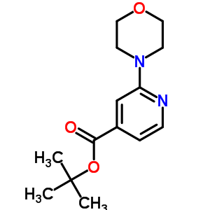 295349-63-2  tert-bütil 2-morfolin-4-ilpiridin-4-karboksilat