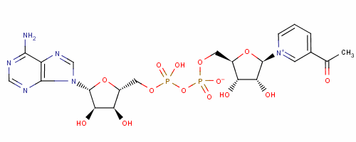 86-08-8  3-acetylpyridine adenine dinucleotide