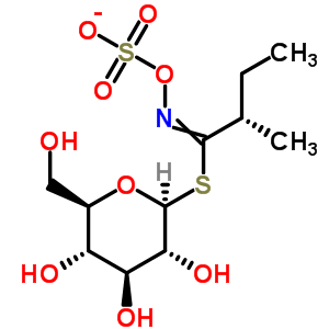 499-24-1  1-S-[(2S)-2-methyl-N-(sulfonatooxy)butanimidoyl]-1-thio-beta-D-glucopyranose