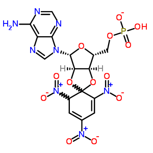 97902-38-0  5'-O-(hydroxyphosphinato)-2',3'-O-(2,4,6-trinitrocyclohexa-2,4-diene-1,1-diyl)adenosine