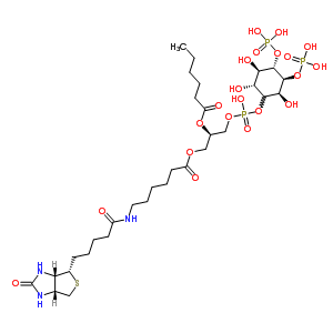 260354-32-3  (2R)-2-(esanoilossi)-3-[(idrossi{[(2R,3R,4S,5S,6S)-2,3,6-triidrossi-4,5-bis(fosfonoossi)cicloesil]ossi}fosforil)ossi]propile 6-({5-[(3aS,4S,6aR)-2-ossoesaidro-1H-tieno[3,4-d]imidazol-4-il]pentanoil}ammino)esanoato