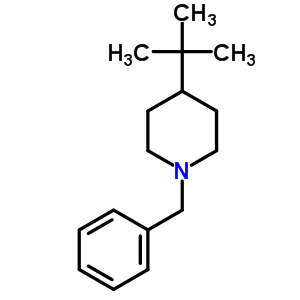 7576-09-2  1-benzyl-4-tert-butylpiperidine