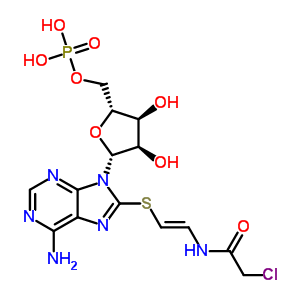 65259-76-9  8-({(E)-2-[(chloroacetyl)amino]ethenyl}sulfanyl)adenosine 5'-(dihydrogen phosphate)