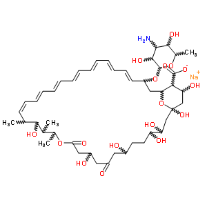 104154-08-7;75442-91-0  sodium 33-[(3-amino-3,6-dideoxyhexopyranosyl)oxy]-1,3,4,7,11,17,37-heptahydroxy-15,16,18-trimethyl-9,13-dioxo-14,39-dioxabicyclo[33.3.1]nonatriaconta-19,21,23,25,27,29,31-heptaene-36-carboxylate