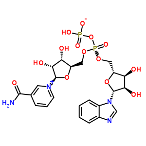 606-77-9  [[(2R,3S,4R,5R)-5-(benzimidazol-1-yl)-3,4-dihydroxy-tetrahydrofuran-2-yl]methoxy-[[(2R,3S,4R,5R)-5-(3-carbamoylpyridin-1-ium-1-yl)-3,4-dihydroxy-tetrahydrofuran-2-yl]methoxy]phosphoryl] hydrogen phosphate