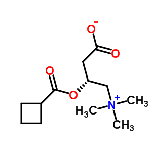 51220-40-7  (3R)-3-[(cyclobutylcarbonyl)oxy]-4-(trimethylammonio)butanoate