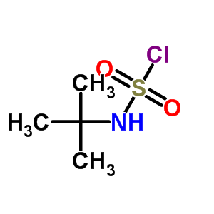 33581-95-2  tert-butylsulfamyl chloride