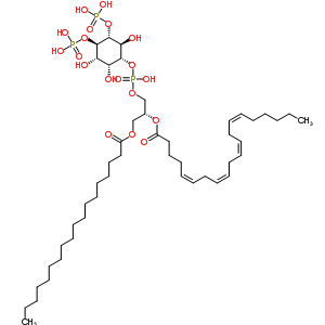 245126-95-8  (1R)-2-[(hydroxy{[(1R,2R,3S,4R,5R,6S)-2,3,6-trihydroxy-4,5-bis(phosphonooxy)cyclohexyl]oxy}phosphoryl)oxy]-1-[(octadécanoyloxy)méthyl]éthyle (5Z,8Z,11Z,14Z)-icosa-5,8,11,14-tétraénoate 