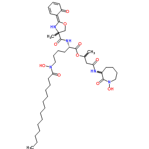 161589-10-2  3-[(1-hydroxy-2-oxoazepan-3-yl)amino]-1-methyl-3-oxopropyl N~6~-hydroxy-N~2~-{[(2Z)-4-methyl-2-(6-oxocyclohexa-2,4-dien-1-ylidene)-1,3-oxazolidin-4-yl]carbonyl}-N~6~-tetradecanoyl-L-lysinate