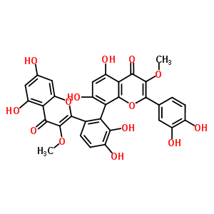 96253-81-5  8-[6-(5,7-dihydroxy-3-methoxy-4-oxo-4H-chromen-2-yl)-2,3-dihydroxyphenyl]-2-(3,4-dihydroxyphenyl)-5,7-dihydroxy-3-methoxy-4H-chromen-4-one