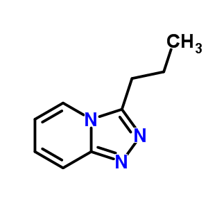 4919-16-8  3-propyl[1,2,4]triazolo[4,3-a]pyridine