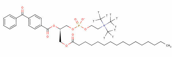 103583-11-5  1-palmitoyl-2-(4-benzoyl)benzoyl-3-phosphatidylcholine