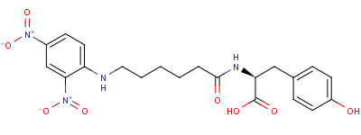 104077-24-9  2,4-dinitrophenylaminocaproyltyrosine