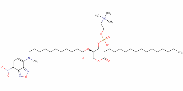 108535-67-7  1-palmitoyl-2-(12-((7-nitro-2,1,3-benzoxadiazol-4-yl)amino)dodecanoyl)phosphatidylcholine
