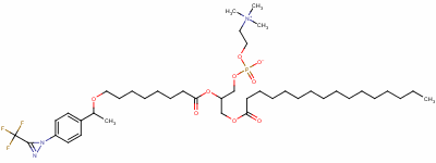 124199-66-2  1-palmitoyl-2-(10-(4-((trifluoro-methyl)diazirinyl)phenyl)-9-oxaundecanoyl)-sn-glycero-3-phosphocholine