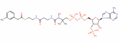 124900-43-2  3-tolylacetyl-coenzyme A