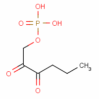151169-48-1  2,3-diketo-1-phosphohexane