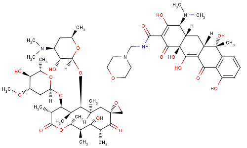 18353-77-0  oleomorphocycline