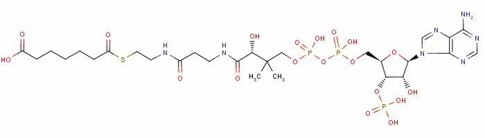 18907-20-5  pimeloyl-coenzyme A