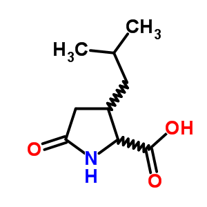 2446-10-8  3-(2-methylpropyl)-5-oxoproline