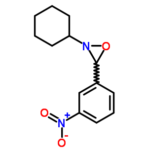 23898-57-9  2-cyclohexyl-3-(3-nitrophenyl)oxaziridine