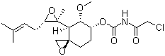 O-(chloroacetyl-carbamoyl) fumagillol