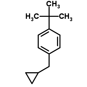 58249-45-9  1-tert-butyl-4-(cyclopropylmethyl)benzene