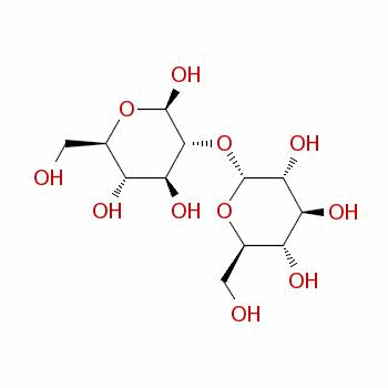 37169-67-8  2-O-α-D-glucopyranosyl-β-D-glucopyranose