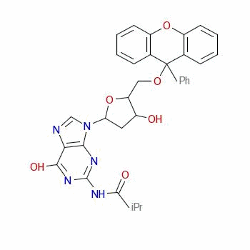 93966-63-3  2'-deoxy-N-(2-methyl-1-oxopropyl)-5'-O-(9-phenyl-9H-xanthen-9-yl)guanosine