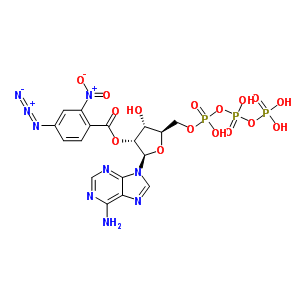 99308-34-6  2'-O-(4-azido-2-nitrobenzoyl)adenosine 5'-(tetrahydrogen triphosphate)