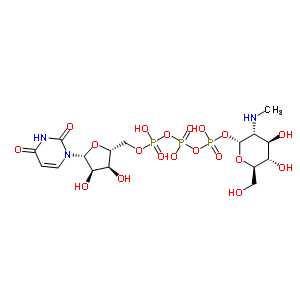 84283-22-7  [(2R,3R,4R,5S,6R)-4,5-dihydroxy-6-(hydroxymethyl)-3-methylamino-tetrahydropyran-2-yl] [[[(2R,3S,4R,5R)-5-(2,4-dioxopyrimidin-1-yl)-3,4-dihydroxy-tetrahydrofuran-2-yl]methoxy-hydroxy-phosphoryl]oxy-hydroxy-phosphoryl] hydrogen phosphate