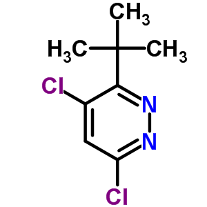 124420-74-2  3-tert-butyl-4,6-dichloropyridazine