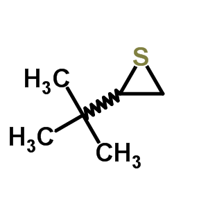 37523-44-7;45434-29-5  2-tert-butylthiirane